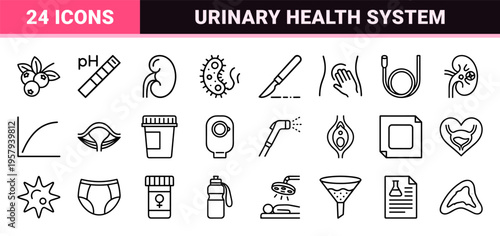 Urology and Urinary Tract Health Line Art: Minimalist Monoline Geometric Outline Icons for Medical Diagnostics and Patient Care Apps.