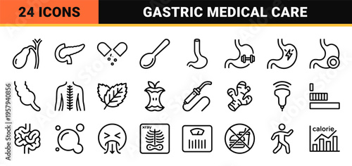 Digestive Health and Gastrointestinal Medicine Minimalist Monoline Outline Symbols for Healthcare Apps and Medical Education Materials.