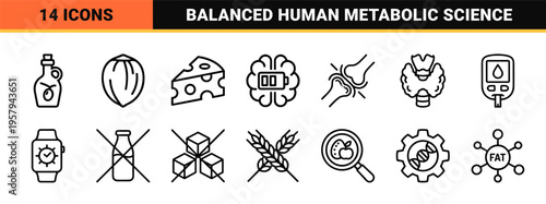 Professional Minimalist Monoline Nutrition and Dietetics Icon Set with Uniform Stroke for Clinical Health and Fitness Visualization