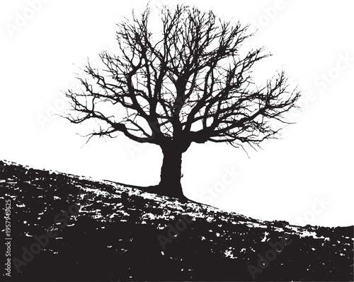 A high contrast black and white silhouette of a bare deciduous tree standing on a grassy hillside