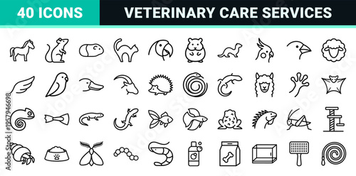Comprehensive Domestic Animal and Pet Care Monoline Geometric Outline Interface Elements for Veterinary and Retail Mobile Software Applications