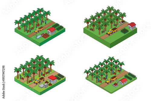 Isometric View of Oil Palm Plantation Cultivation Stages