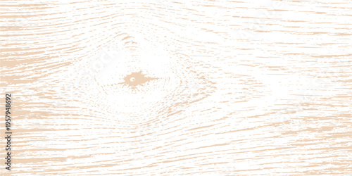 Abstract close-up view of an unfinished wood pattern. The rough surface shows the distinctive grain and texture. Perfect as a background for design.