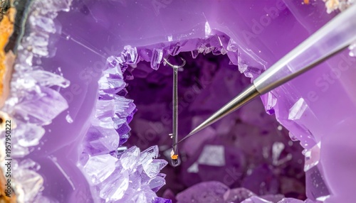 A vibrant bouquet of blooming lilac and violet flowers in shades of purple and yellow, purple, pink and blue displays the macro beauty of spring flora in a lush summer garden