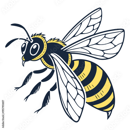 A black and yellow bee with white wings