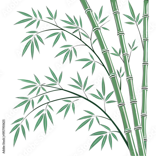 A close-up of bamboo stalks and leaves