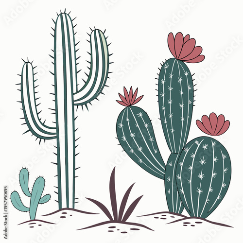 A group of cacti and succulents in the desert