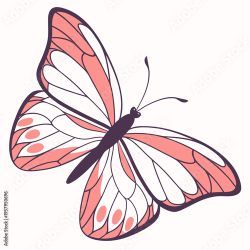 A butterfly with pink and white wings