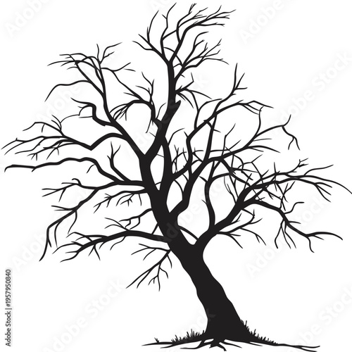 A bare tree with many branches