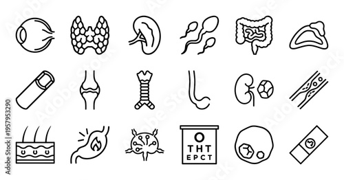 Human Anatomy and Clinical Pathology Minimalist Monoline Geometric Line Art Set for Healthcare Education and Medical Research Graphics.