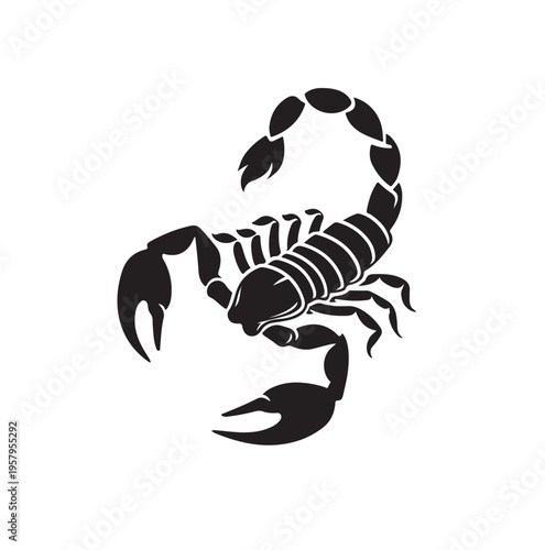 scorpion logo vector