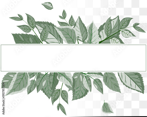 Modern Botanical Square Frame Minimalist Dusty Sage Green Leaves for Organic Skincare Branding, Wellness Identity and Wedding Invitations. Clean Paths