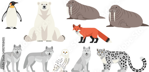 Arctic and Wild Animals Collection with Polar Bear Fox Wolf Penguin Vector Illustration Set