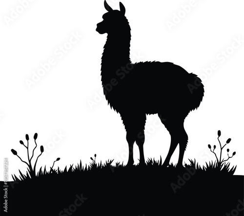 Cute cartoon a illustrator silhouette alpaca