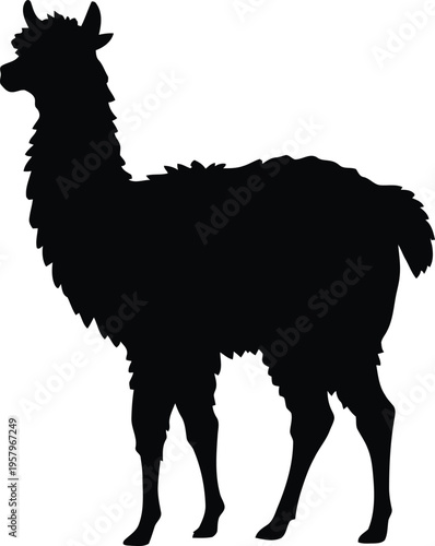 Cute cartoon a illustrator silhouette alpaca