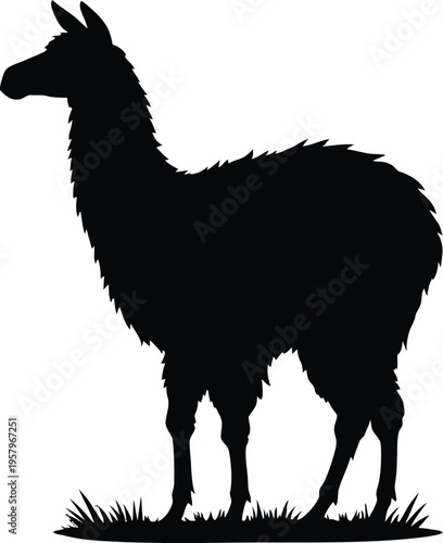 Cute cartoon a illustrator silhouette alpaca