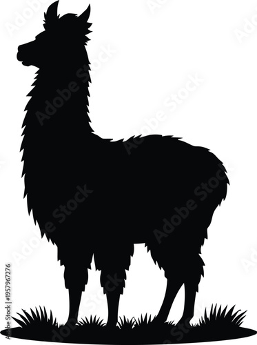 Cute cartoon a illustrator silhouette alpaca