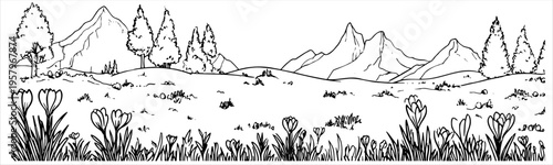Black and white line art panoramic sketch of mountain landscape with prominent crocus flowers and grass in foreground, trees and peaks in background