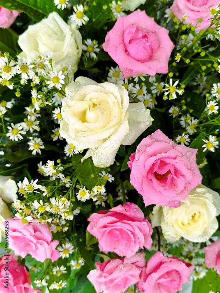 Fototapeta premium Beautiful bouquet of pink and white roses with morning dew drops. Fresh floral arrangement featuring white daisies and green leaves. Romantic wedding or Valentine background.