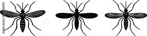 Mosquito silhouette set with detailed insect wings and body isolated on white background, pest control, disease carrier, and entomology concept vector illustration