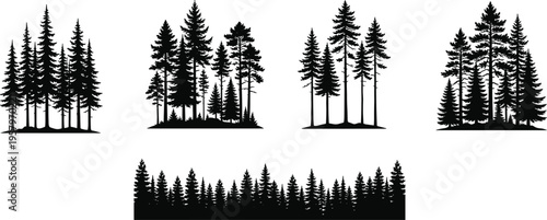 Pine tree forest silhouettes set with various conifer trees and woodland scenes isolated on white background, nature landscape and outdoor design vector illustration