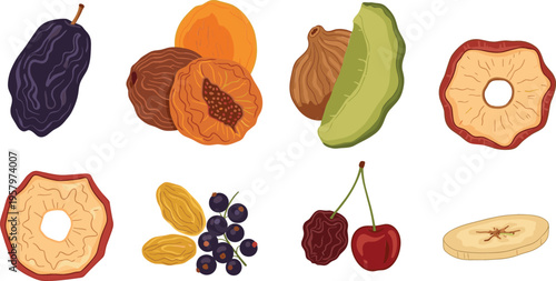Dried Fruit Collection with Prunes, Apricots, Apple Rings, Cherries, and Raisins Isolated Vector Illustration for Healthy Snacking, Nutrition, and Organic Food Design