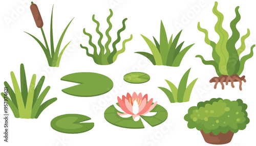 A flower vector illustration of a pond with various plants and a lily pad