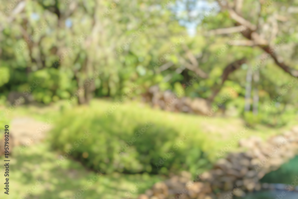 Fototapeta premium Abstract blur green park garden for background