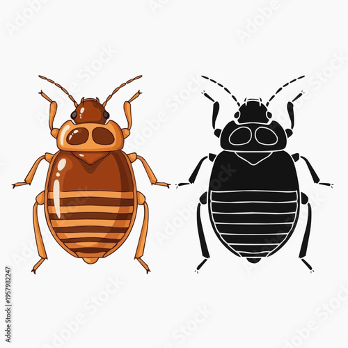 Brown Bed Bug and Black Outline Vector Illustration of Insect Pest, Detailed Macro View of Parasitic Arthropod for Pest Control and Entomology