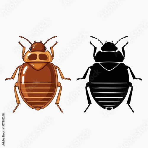 Vector illustration showing brown bed bug and its black silhouette, ideal for pest identification, entomology, and public health awareness