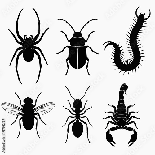Silhouetted collection of various insects and arachnids, including a spider, beetle, centipede, fly, ant, and scorpion, presented as a clean graphic illustration for educational or decorative purposes