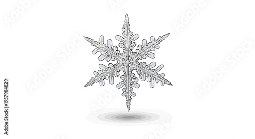 Detailed illustration of a single snowflake on white background