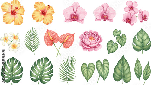 Tropical floral and leaf set. Hibiscus, orchid, peony, and exotic leaves. Botanical collection for summer design, jungle themes, decoration, and nature illustrations.