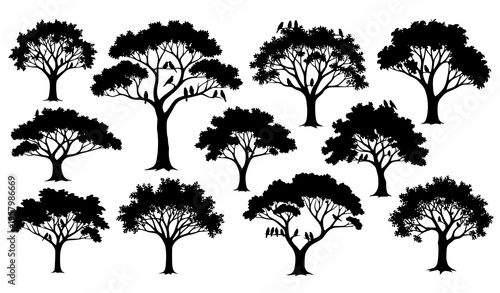 Tree silhouette vector illustration forest set with birds and unique canopy botanical design isolated on white background