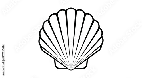 Detailed drawing of a scallop shell in black outline silhouette