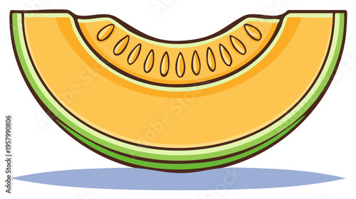 Illustration of a slice of cantaloupe melon showing the seeds, rind and flesh, perfect for summer food and menu designs