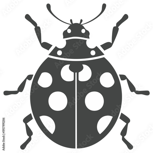 Minimalist ladybug insect icon simple graphic design element for nature themes and good luck symbols