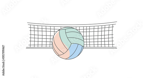 Colorful Volleyball in Front Net.