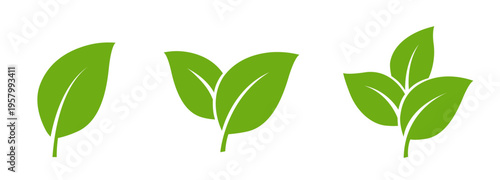 Green Leaf icon Set, Minimal Nature Plant leaves Logo Collection, Modern Symbol Set of Single one, two and three Fresh Organic Leaves Vector isolated on Transparent Png White background