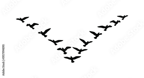 A flock of birds flying in a v formation against a white background silhouette