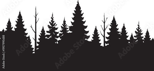 Black Forest Treeline Silhouette With Pine Trees And Bare Trunks