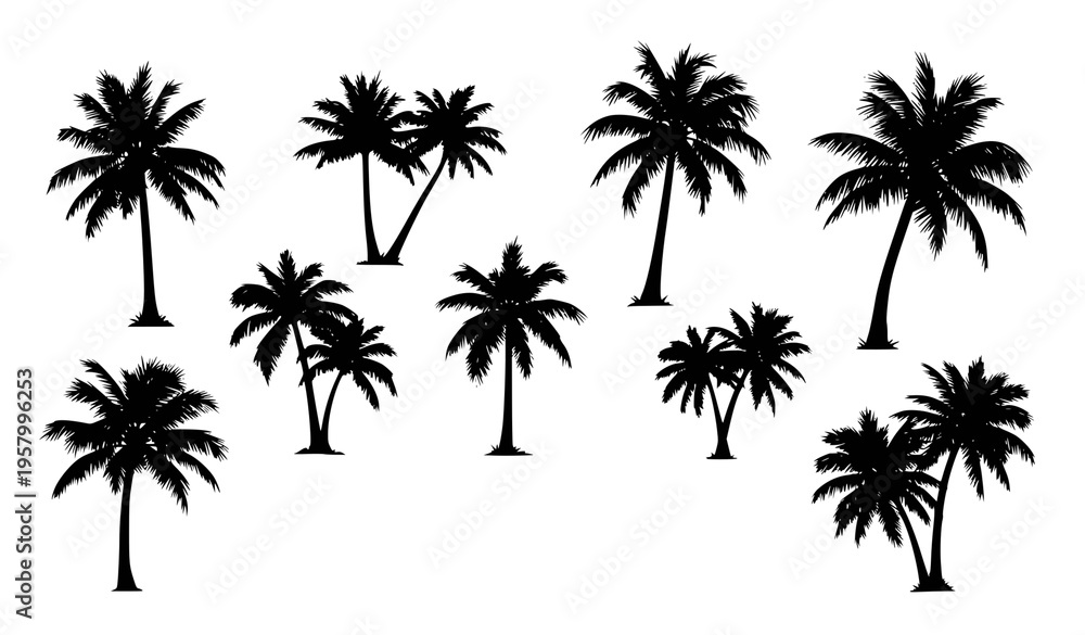 Fototapeta premium Palm tree silhouette collection with text palm trees tropical vector illustration isolated on white background