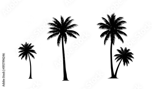 Palm tree silhouette collection with integrated palm trees typography tropical vector design isolated on white background