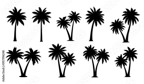 Collection of palm tree silhouettes tropical vector set isolated on white background