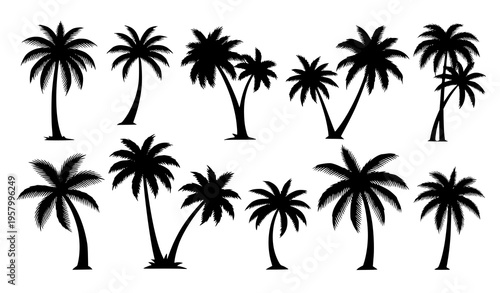 Tropical palm tree silhouette set with varied shapes vector illustration isolated on white background