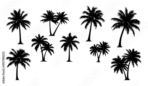 Palm tree silhouette collection with text palm trees tropical vector illustration isolated on white background