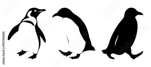 Penguin walking silhouette set with contrasting black outline against white background featuring penguin, walking, silhouette, wildlife with minimalism and illustration