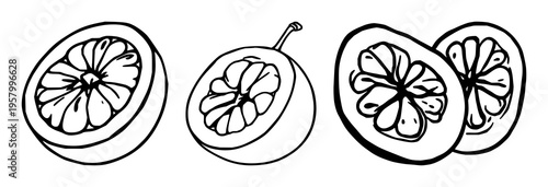 Graphic vector of a passion fruit half, pulp and seed detail, minimalist food art, white background. set with simple line art design featuring simple design, minimalist, black and white with illust...