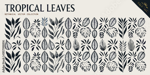 A collection of detailed black and white tropical leaf illustrations