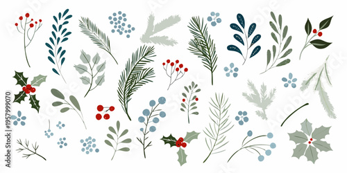 Assorted botanical illustrations of festive winter foliage and berries